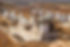 Sino7.jpg