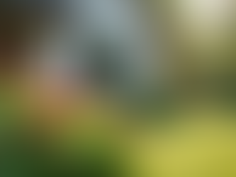 Revitalize Your Space: Essential Tips for Real Estate Upgrades