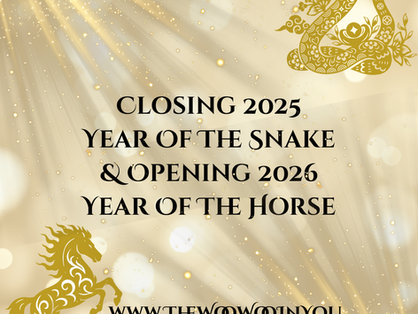 Year of the snake, year of the horse icons in the corner. Text in the middle saying "closing 2025 year of the snake and opening 2026 year of the horse"