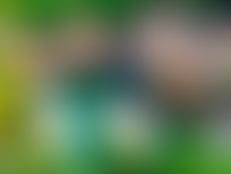 How to Make Your Hotel More Sustainable Without Breaking the Budget