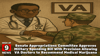 Senate Appropriations Committee Approves Military Spending Bill With Provision Allowing VA Doctors to Recommend Medical Marijuana
