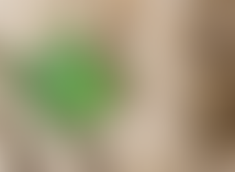 Hemp Fiber Market to Hit Over $50B by 2028, Report Indicates