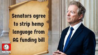 Senators agree to strip hemp language from ag funding bill