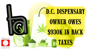Cannabis store owner owes $930,000 in back taxes, indictment alleges