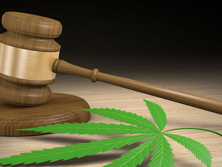 Court orders arbitration in dispute between plant breeder and nursery company.