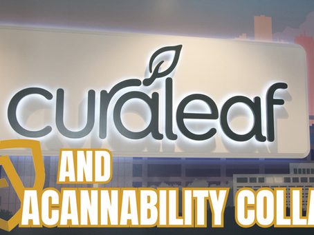 Weeding Out Misinformation: Curaleaf And Acannability's Educational Collab For Cannabis Consumer Awareness