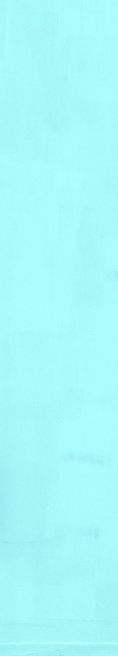 Turquoise Paneled Wall