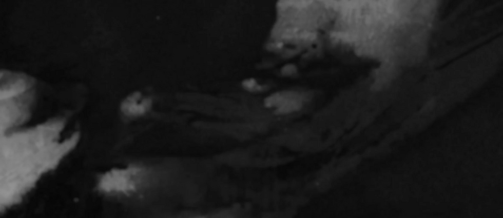 Captura de pantalla 2025-11-12 042554.png