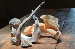 WhatsApp Image 2025-12-03 at 17.08.37 (1)