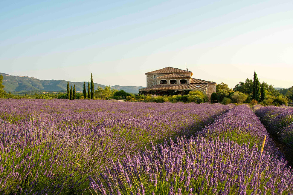 Ardeche Hotel Domaine du Frigoulet