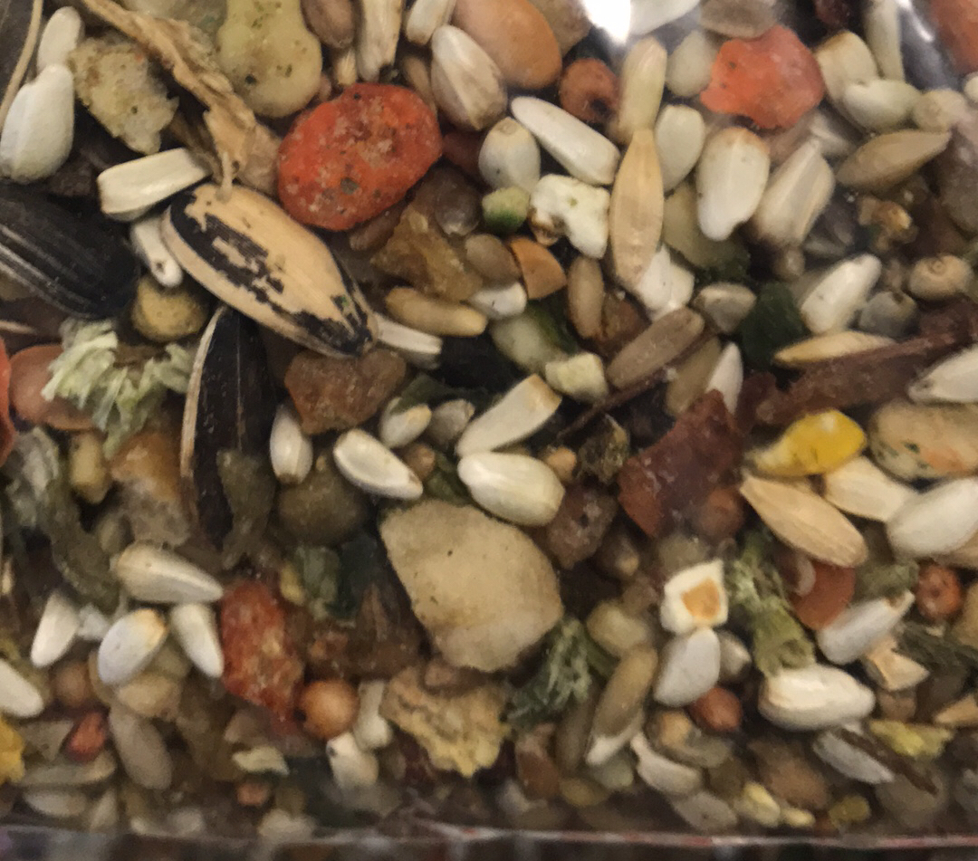 Birds By Joe Conure Blend/5#