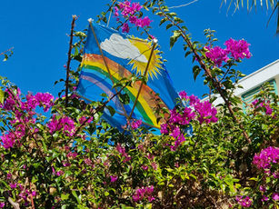 Meine 12 von 12 Bildern aus der Türkei im Dezember 2025