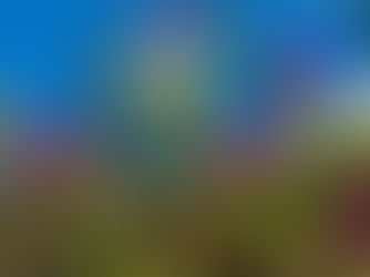 Meine 12 von 12 Bildern aus der Türkei im Dezember 2025