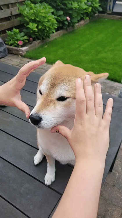Snaptik_7026171163147521307_tiktok_2.gif