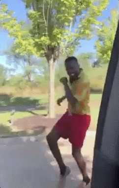 giphy (22).gif