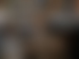 Justification Investigation Services (JIS) Program : An in depth exploration