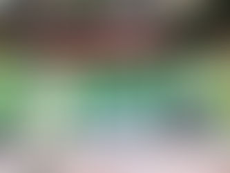 Green School Festival