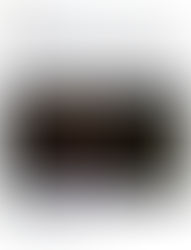 message du 14 octobre 2015