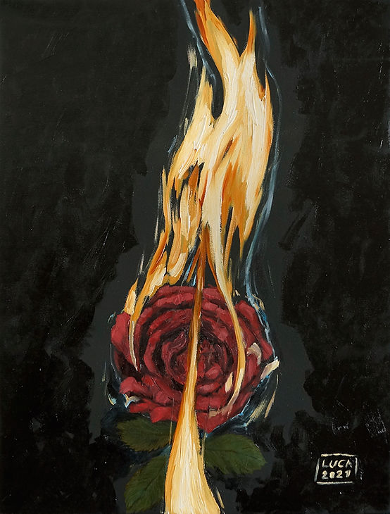 Rose in Flammen