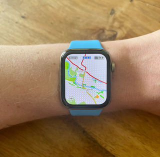 Apple Watch App Review - WorkOutDoors