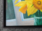 Daffodils Detail 1