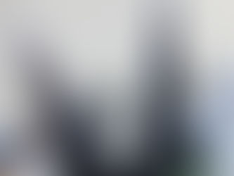 注意喚起!刈り込みバサミでこれやらないでください!