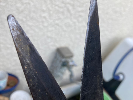 注意喚起!刈り込みバサミでこれやらないでください!