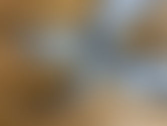 剪定ばさみを使った際のNGな切り方！それ刃を悪くします