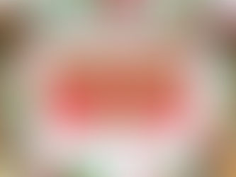 植木屋あるある？「クリスマス過ぎたけど、サンタの真似をしてプレゼントを渡すが、ガーデニング用品のため子供から嫌がられる様子」