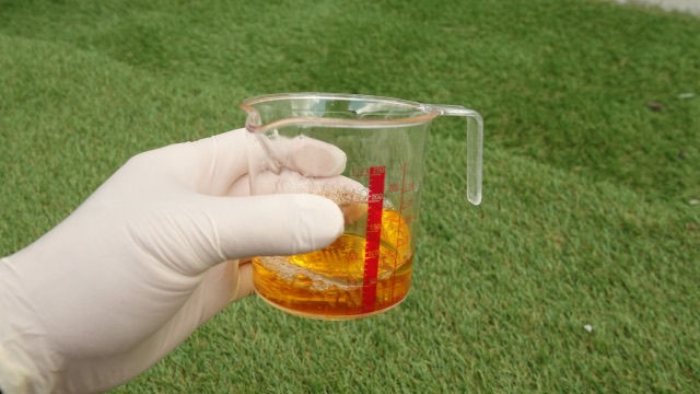 除草剤が効かないヤツがいる？話を聞くとだいたいこれ！  