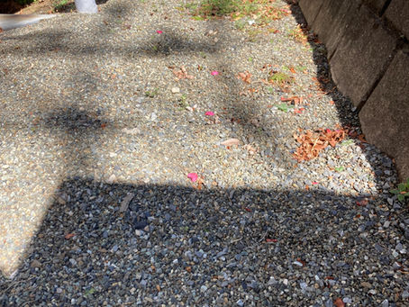 ネコソギトップF粒剤は本当に9か月もつの？