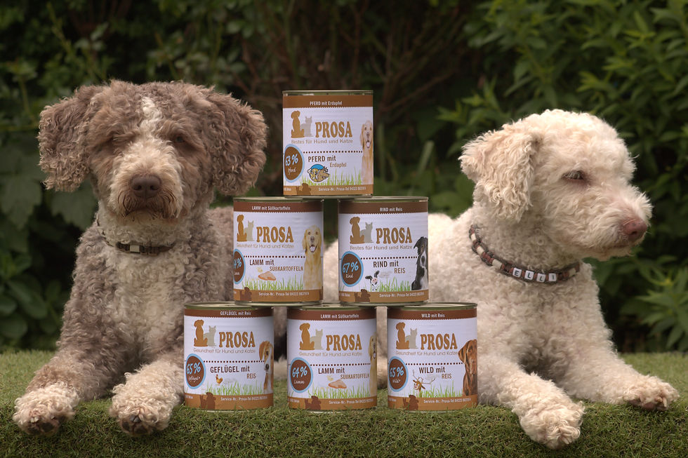 Miniaturbild: zwischen zwei Hunden stehen 6x 800g Dosen Hundefutter gemischt, Vorderansicht