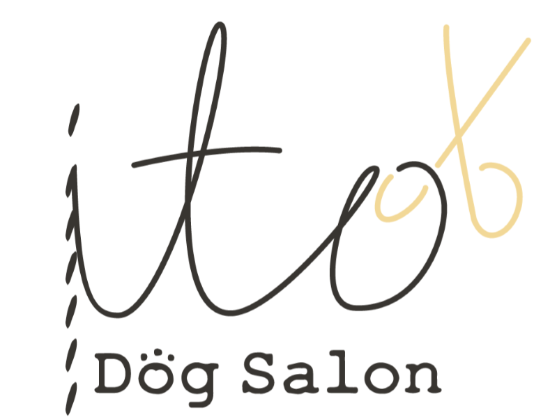Dog Salon itoの写真(大阪府大阪市)