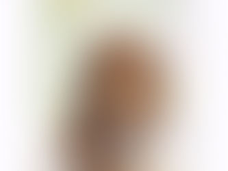 ☆ダックスのまろたちゃん☆