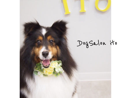 ☆ハグちゃん☆