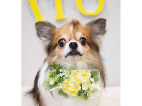 ☆ユウ太郎くん☆