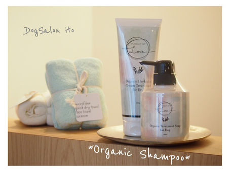 ☆おすすめメニュー☆