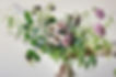 Heather+Payne+Photography2.jpg