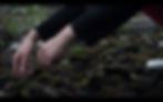 phases_of_dusk_donnet
