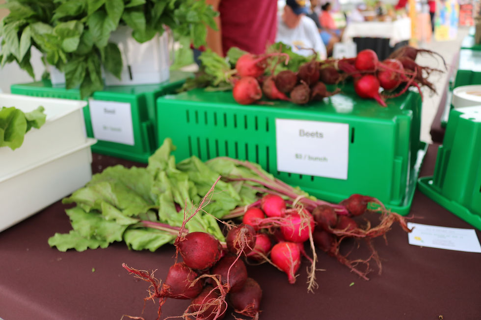 Mason Market on the Mile