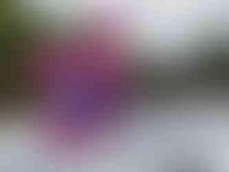 Block Party_Studio Barnes_MAW Photography