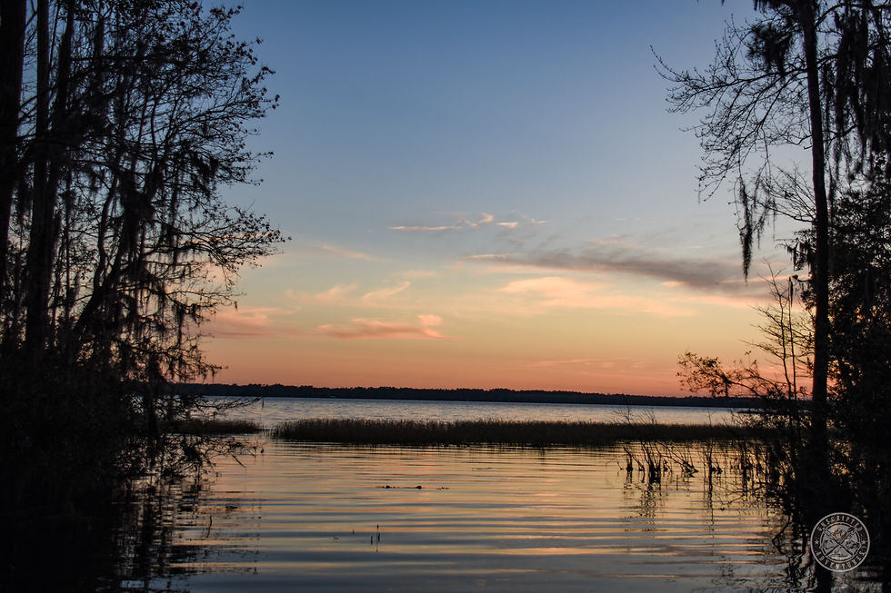 Sunset over Ocean Pond framed with the silhouette of cypress trees.