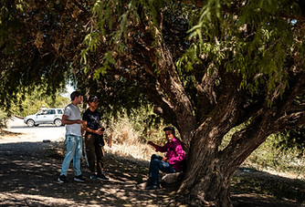 QRO_Low res_talking.jpeg