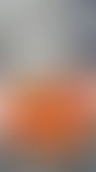 Enquête : priorité donnée aux légumes