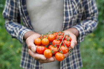 pedidos de frutas y verduras