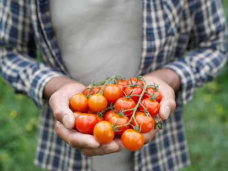 When Vegetables Come First