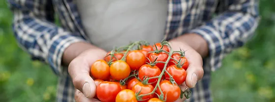 Contact Us Brawley Garden Center