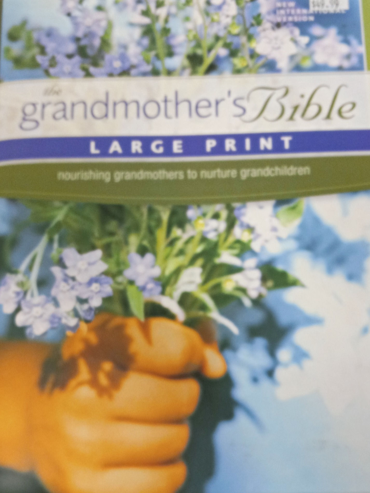 The Grandmother's Bible Large Print