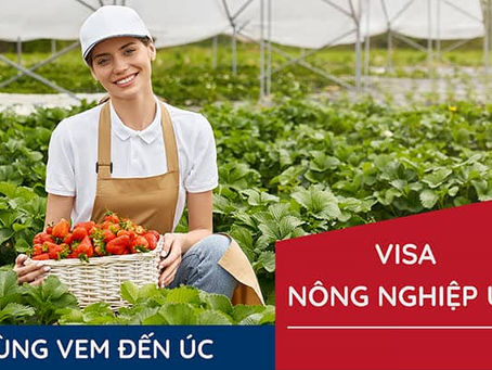 Khám Phá Visa Nông Nghiệp Úc 2026 Ngay