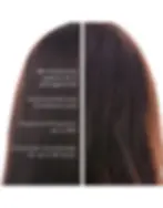 Thumbnail: MY CARE PROFESSIONAL'S KERATIN Shield Hair Mask